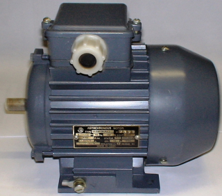 Asynchronní motor