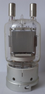 GU81M